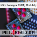 5Gm Kamagra 100Mg Oral Jelly 14